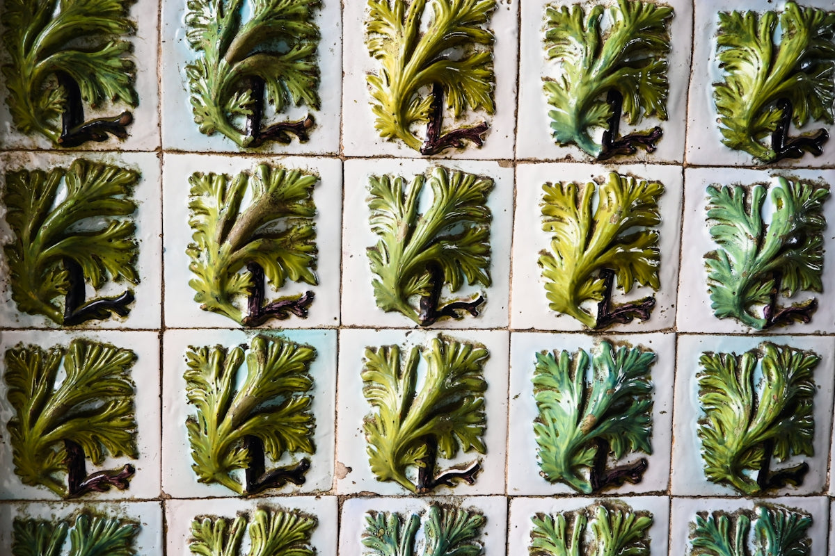 a bunch of green leafy plants on a tile wall