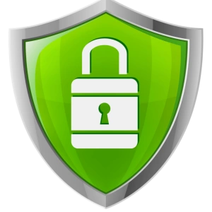 Payment Security when purchase on Evebot Coffee Printers